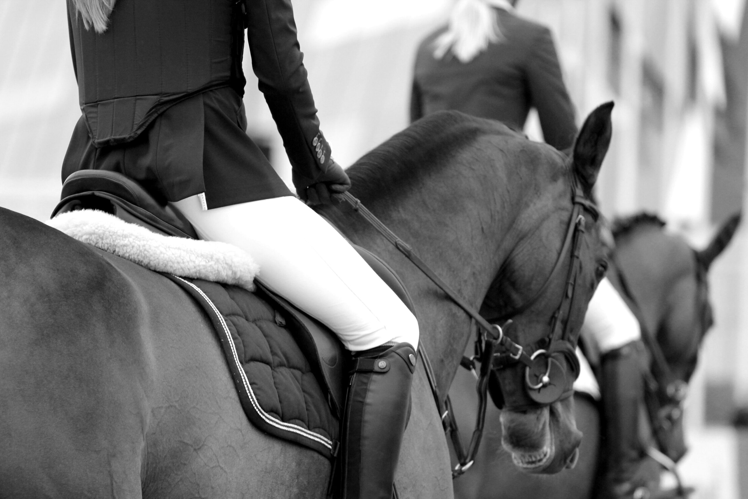 Failed Company Voluntary Arrangement for Equestrian Business Leads to Administration