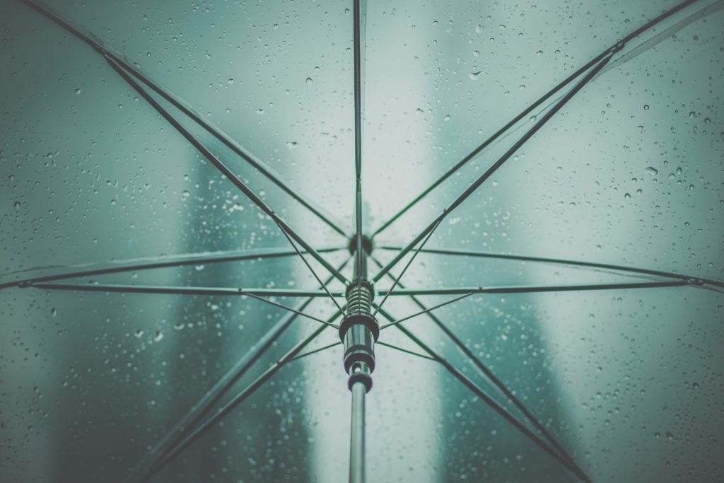 Limited Company or Umbrella