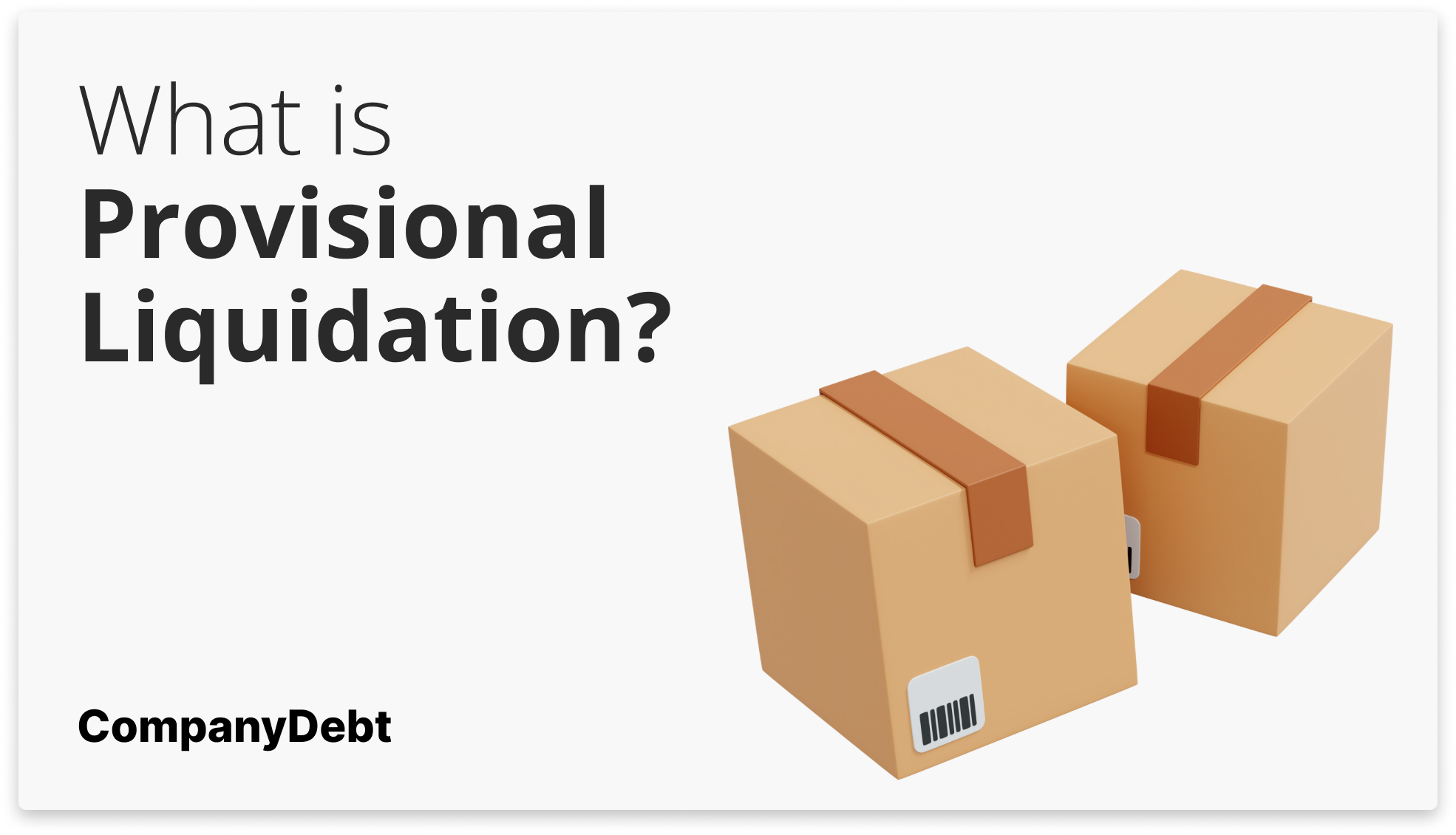 What is Provisional Liquidation?