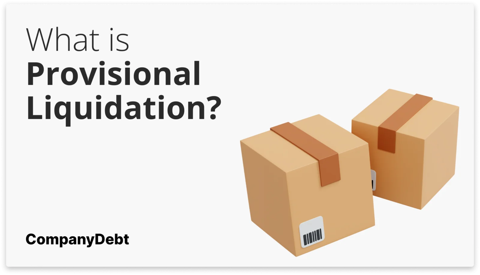 What is Provisional Liquidation?