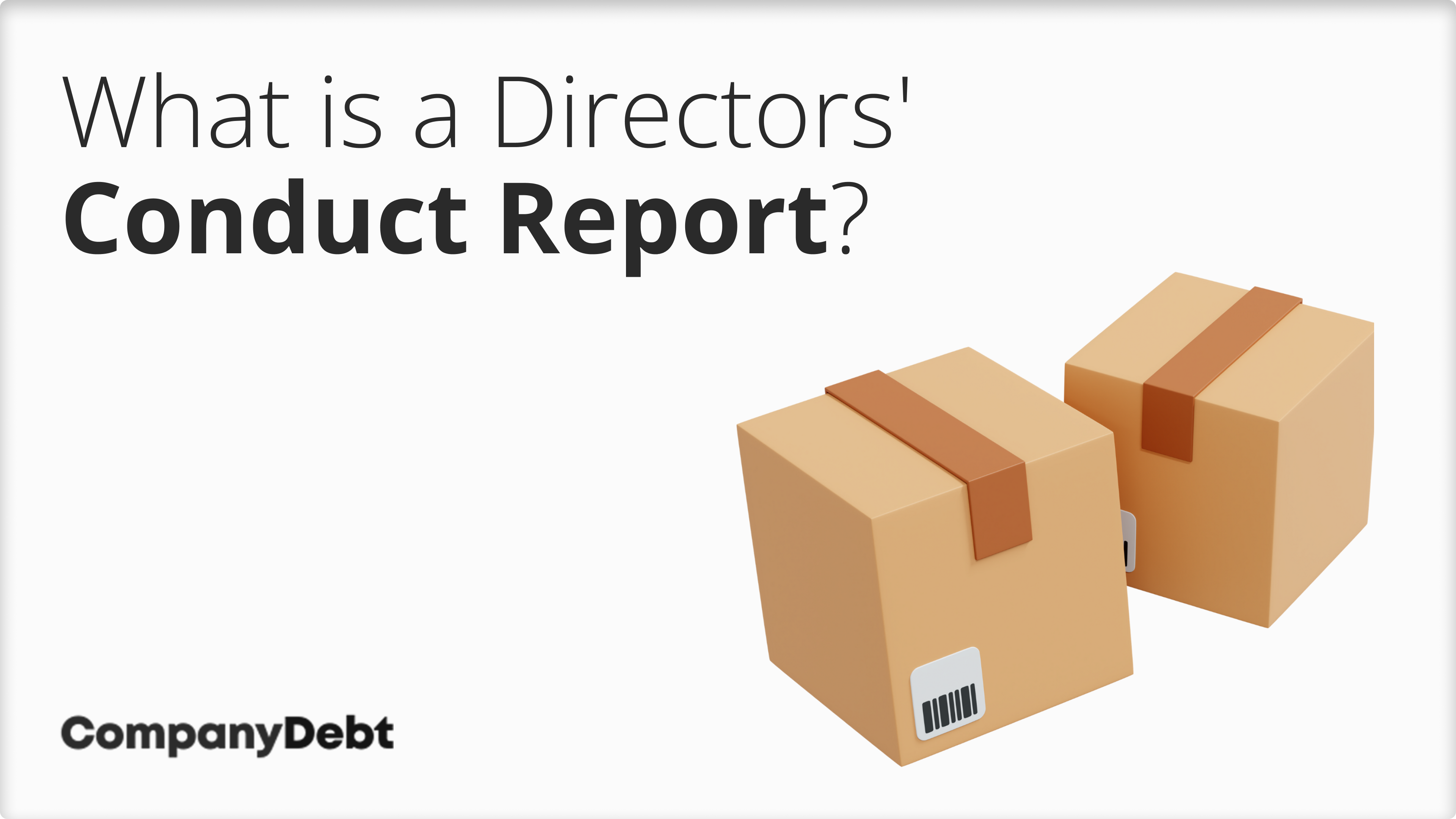What-is-a-Directors-Conduct-Report_