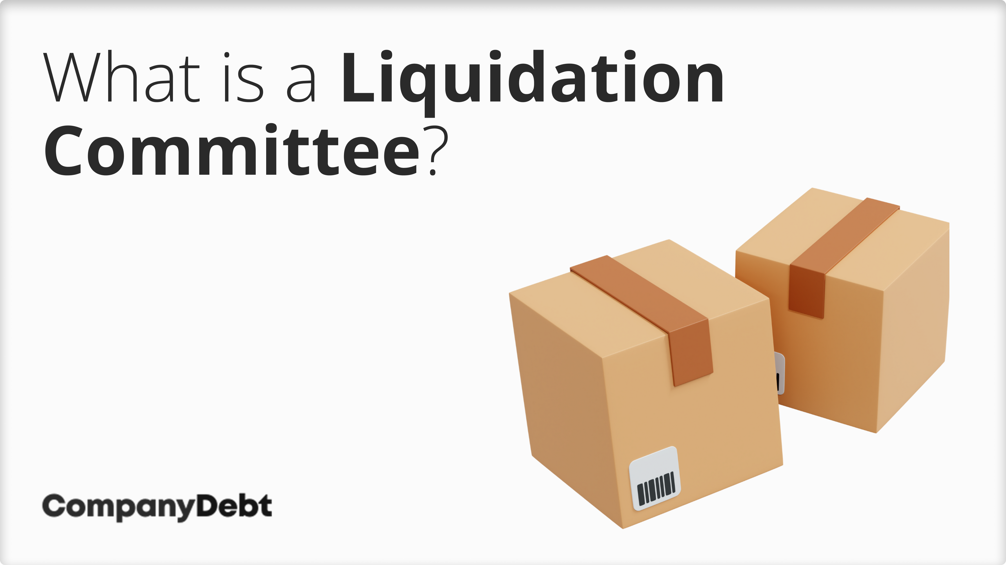 What-is-a-Liquidation-Committee_