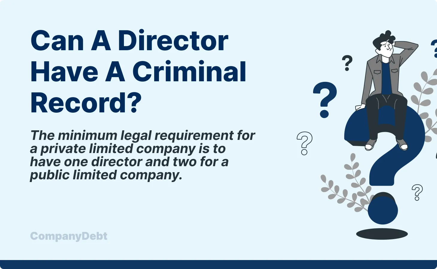 Can a Director have a Criminal Record?